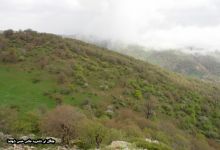 گزارش تصویری از فصل پاییز در جنگل ابر شاهرود